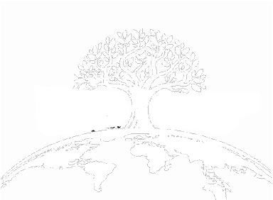 Forest Meadow Baptist Church